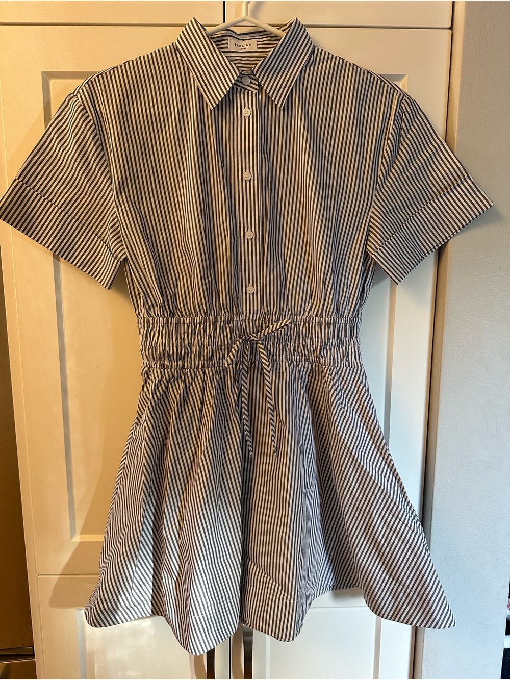 Aritzia Babaton Term Poplin Dress